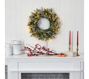 Nearly Natural 24" Snowed Christmas Wreath