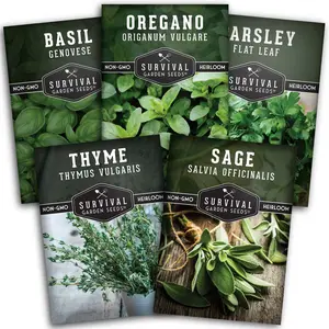 Italian Herb Seed Collection - 5 Classic Italian Flavors