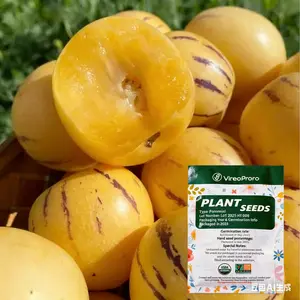 Pepino Melon Seeds for Planting,Sweet Pepino Seeds Non-GMO,Exotic Fruit Seed Heirloom for Outdoor Home Garden