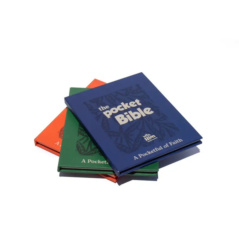 the bible project book - TikTok Shop