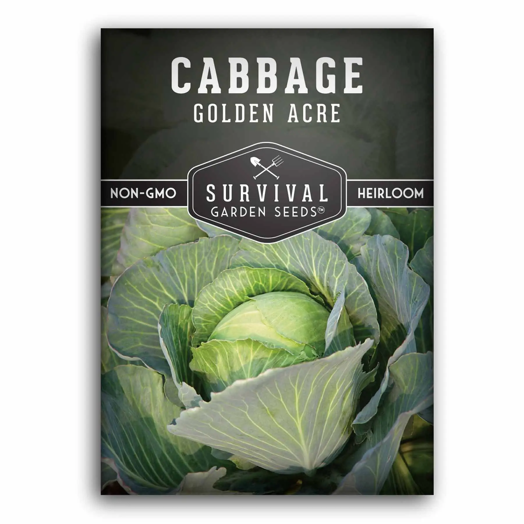 Survival Garden Seeds Golden Acres Green Cabbage Seed Non-GMO Heirloom