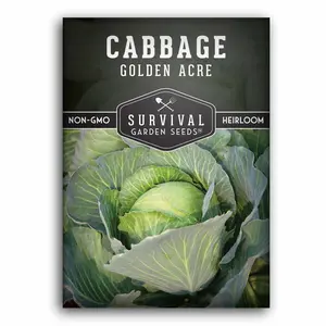 Survival Garden Seeds Golden Acres Green Cabbage Seed Non-GMO Heirloom