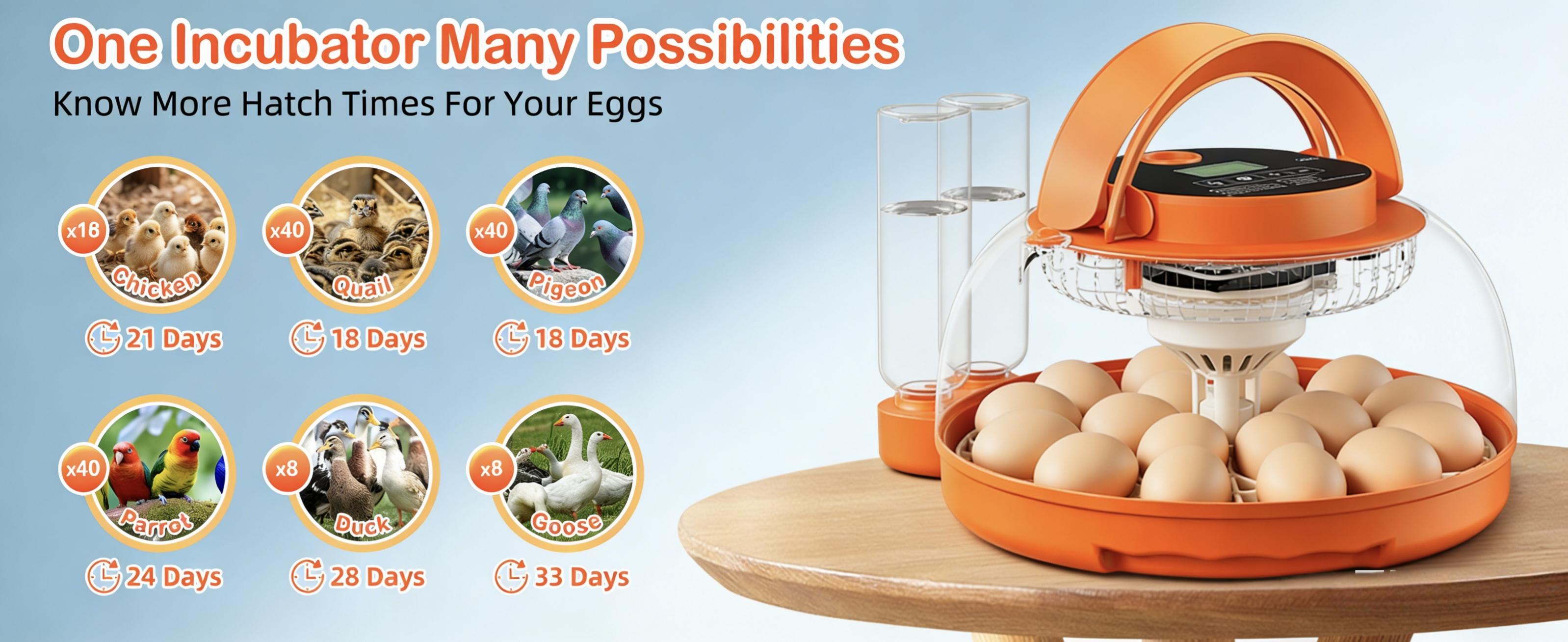 18-Egg Incubator, Fully Automatic with Egg Turner & Temperature/Humidity Control, Clear Lid and Storage, for Hatching Chicken, Duck, Quail Eggs