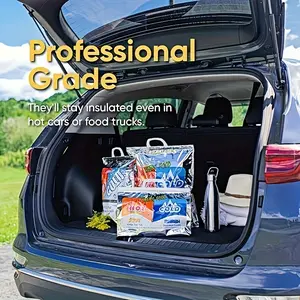 1 Pcs Insulated Bag Pet Freezer Bag, Ice Pack Takeaway Insulation Bag, Handheld Aluminum Foil Insulated Bag for Summer Camping Multi-Scene Use Thermal Insulated