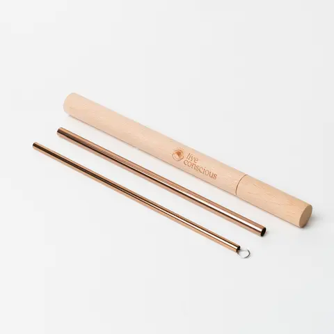 Live Conscious Reusable Straws Travel Set - Two 304 Stainless Steel Straws with Pipe Cleaner and Bamboo Case - Eco Friendly
