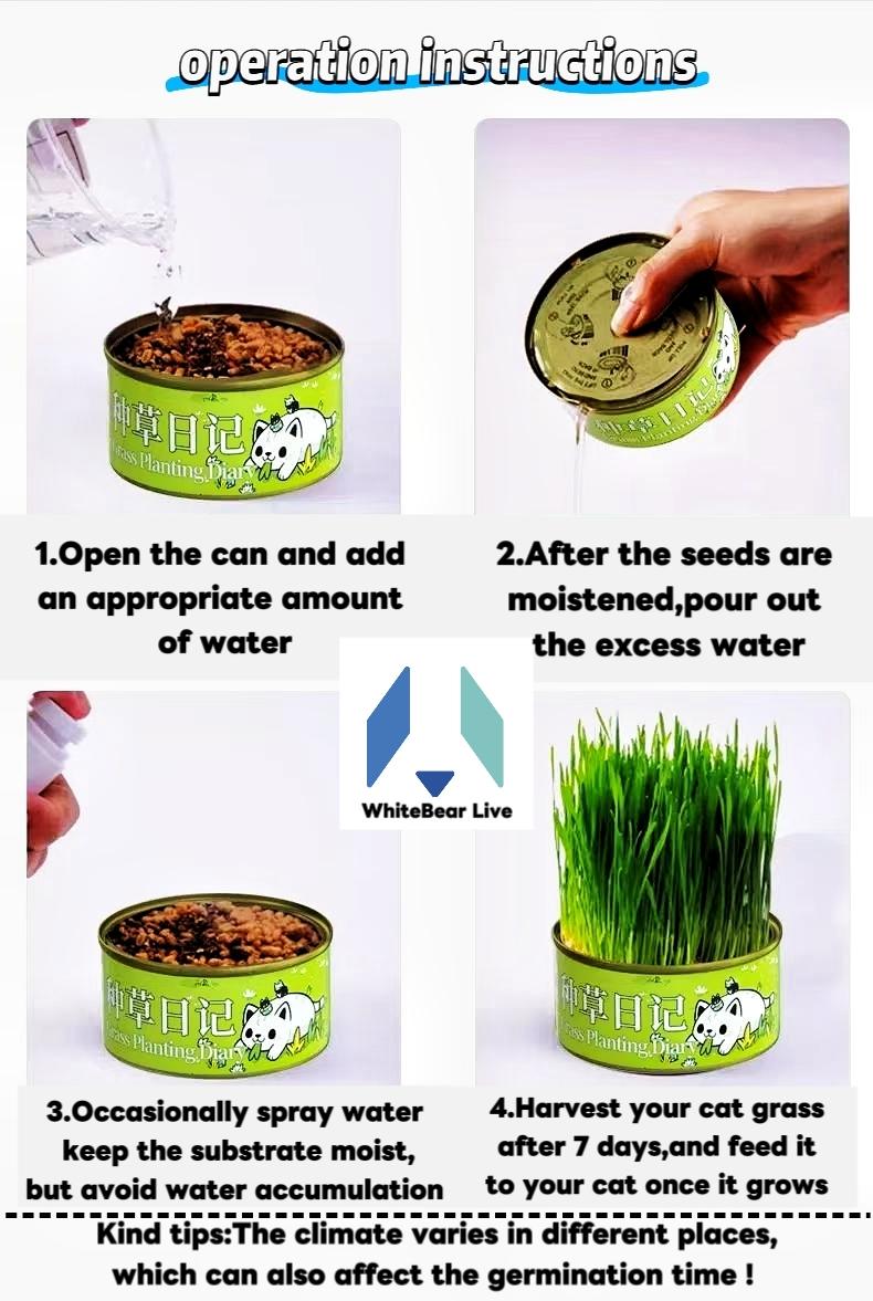 Organic Cat Grass Seeds Pack  Non-GMO Heirloom Cat Grass Seeds for Indoor & Outdoor Cats  100% Organic Cat Grass Seeds - Cat Grass for Indoor Cats - (Non GMO) cat grass seeds Suitable for Indoor Cats Planting Kit with Organic Seed Mix cat stuff for indoor