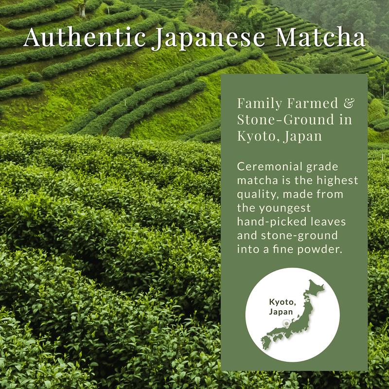 Matcha Sunday Ceremonial Grade Matcha Powder (50g/1.75oz) - Traditional Green Tea, Smooth, Vibrant, Savory, Stone Grind