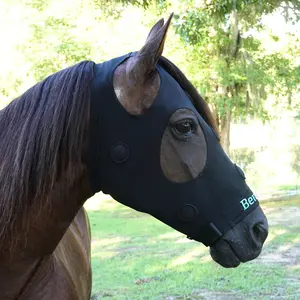 Rejuvenate SmartMask