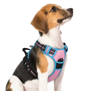 rabbitgoo Dog Harness No-Pull Pet Harness with 2 Leash Clips Breathable and Comfortable Color Blocking