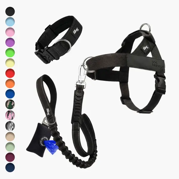Dog Friendly Co. Adjustable Harness 5-Piece No Pull Walk Kit - Harness, Front D-Ring, Collar, Leash, Color-Matched Choke-Free Poop Bag Holder, XXS-XL Sizes for Controlled Dog Walks