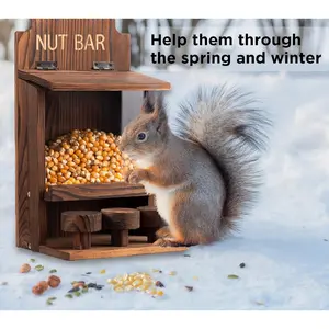 Fun Outdoor Squirrel Feeder, Carbonized Wood Design, Garden Tree Feeder, Peanut Feeder Also Squirrel House, Assemble Required, 10.8x6.1x5.3 Inches