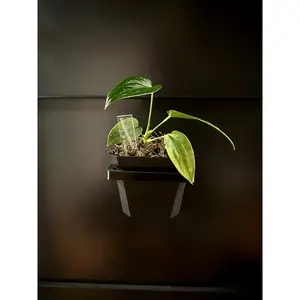 Square Magnetic Pot Holders