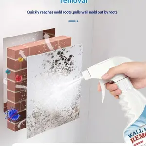 Mold Remover Spray for Bathroom Walls & Floors, Cleaning Spray, Effective Mildew Cleaner, Wholesale Mold Stain Removal Solution