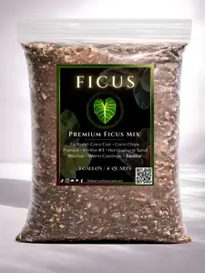Ficus Mix — Structured, Balanced Drainage Soilless Potting Mix