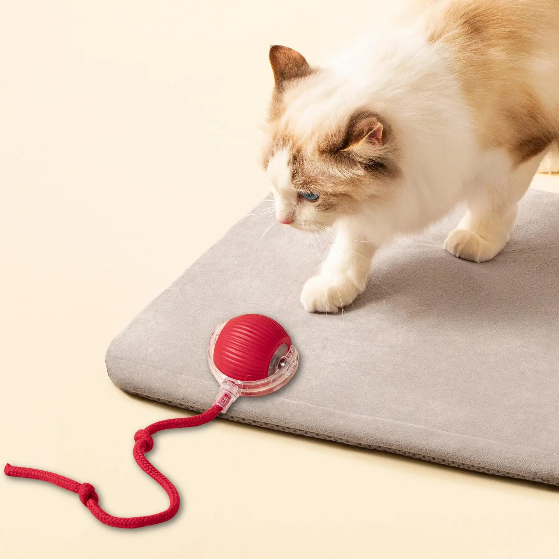 USB Rechargeable Dog Teaser Toy, Long Tail Toy Ball, Cat Training Toy, Tease Cat Training Toy, Suitable for All Cats, Valentine's Day Gift