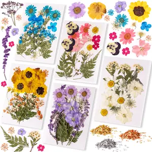 85Pcs Natural Dried Flowers & Foil Flakes for Resin, Jewelry, Pendants, DIY Handmade Holiday Gift Crafts, Handcraft Making Materials- LET'S RESIN 85Pcs Natural Dried Flowers & Foil Flakes for Resin, Jewelry, Pendants, DIY Handmade Holiday Gift Crafts, Handcraft Making Materials- LET'S RESIN