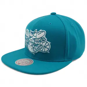 Mens MITCHELL & NESS NBA BACK TO BASICS SNAPBACK HWC HORNETS