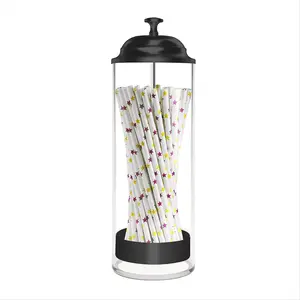 Straw Holder for Standard Size Drinking Straws, Plastic Straw Dispenser for Counter with Lid