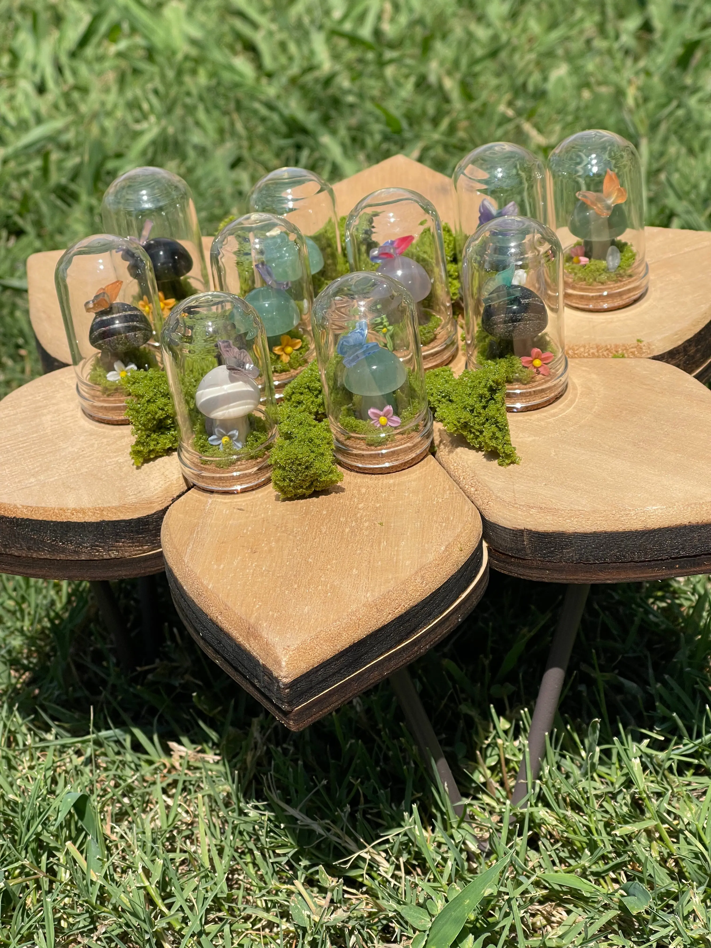 Mushie Terrarium