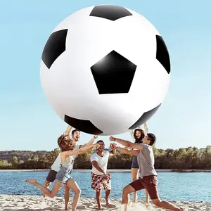 Giant Inflatable Beach Lawn Ball, 40 Inch Classic Color, Indoor Outdoor Play, Youth Training, Lightweight Interactive Toy