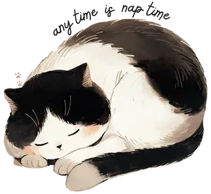 Nap Time Vinyl Sticker