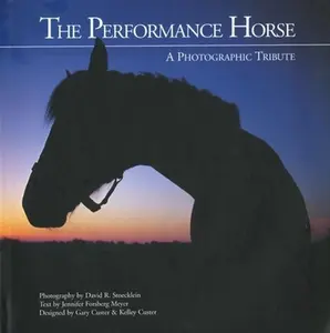 USED-Sun Valley Images by David R. Stoecklein 0 (Hardcover)