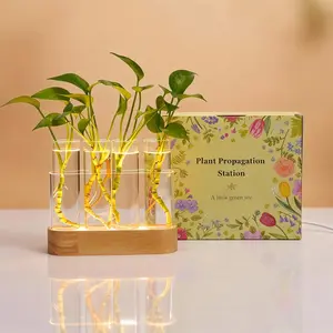 Propagation Station with LED Lights, 4 Glass Test Tubes, Oak Stand, 3 Lighting Modes 9-Level Dimming, Rear USB-C , for Window Sill Desk Shelf,  for  Lovers