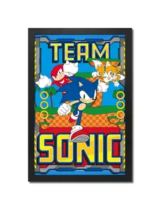 Sonic™ Team Sonic: Framed Gel-Coated Framed Print (11x17)