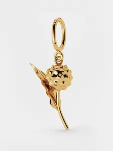 Dandelion Charm