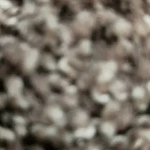 review image 3