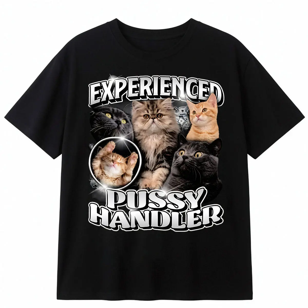 Professional Cat Handler Naughty T-Shirt, Funny Shitpost Shirt, Naughty Gifts For Boyfriend, Shirt For Him