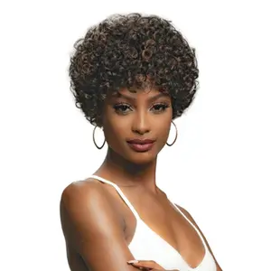Janet Collection Virgin Human Hair Wig Lavish Darcie