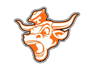 #0438 Texas Longhorns Mascot Logo #1 College Sticker Waterproof Vinyl Decal Car