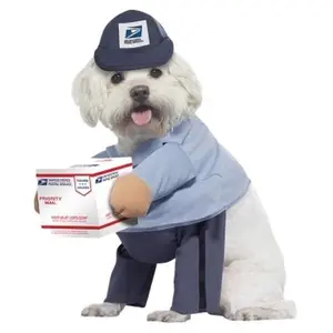 USPS Dog Mail Carrier Costume Medium - US Mail Carrier Pup with Stuffed Arms & USPS Logo Cap - 100% Polyester Hook and Loop Closure