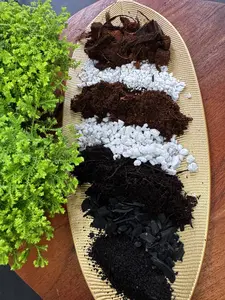 Chunky Aroid Mix | Well-Draining Potting Mix for Aroids