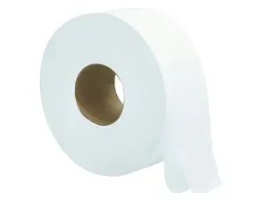 2 Ply Jumbo Toilet Paper Roll 9 Inch Diameter White Large Janitorial 12 Case Sustainable Commercial Home Use
