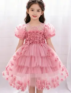 Pink Trailing Baby Girl Clothes 3D Flower Embroidered Christening Cocktail Toddler Baptism Pageant Ball Gown Princess Dress for all Season 6 Months to 3 Years Princess Seraphina Dress