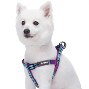 3M Reflective Step In Dog Harness In Multicolor Stripes