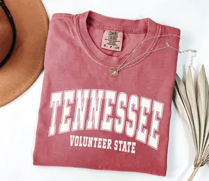 Tennessee Comfort Colors Shirt, Tennessee Travel Gift, State Shirt, Girls Trip Tee, Vacation Shirt, Tennessee Game Day, Retro College Tee