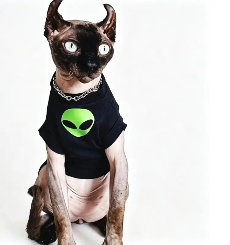Sphynx Cat Cotton Vest: Breathable Summer Apparel for Hairless Cats & Sensitive Skin