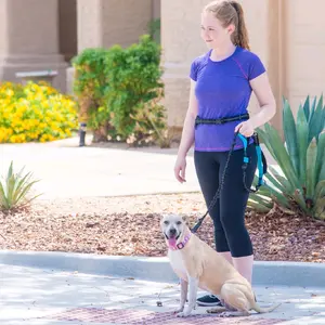 Hands Free Bungee Leash