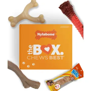 Chew Time Deluxe: Nylabone Toy & Treat Gift Set (4-Pack) Central Garden and Pet