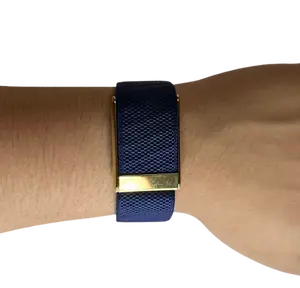Gold-Plated Luxurious Strap Compatible with Whoop 5.0 - Polished Gold Buckle Adjustable Breathable Woven Band Stylish Replacement Wristband for Men & Women Gold Plated Compatible with One and Peak Not Compatible with 4.0