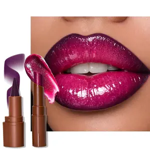 Darkme Easy Bag Lip Combo Set, Purple Plumping Lip Contour Liner & Berry Lipstick, Matte Pigmented Moisturizing Glossy Lip Liner, Long Lasting Shine Shimmer Makeup03