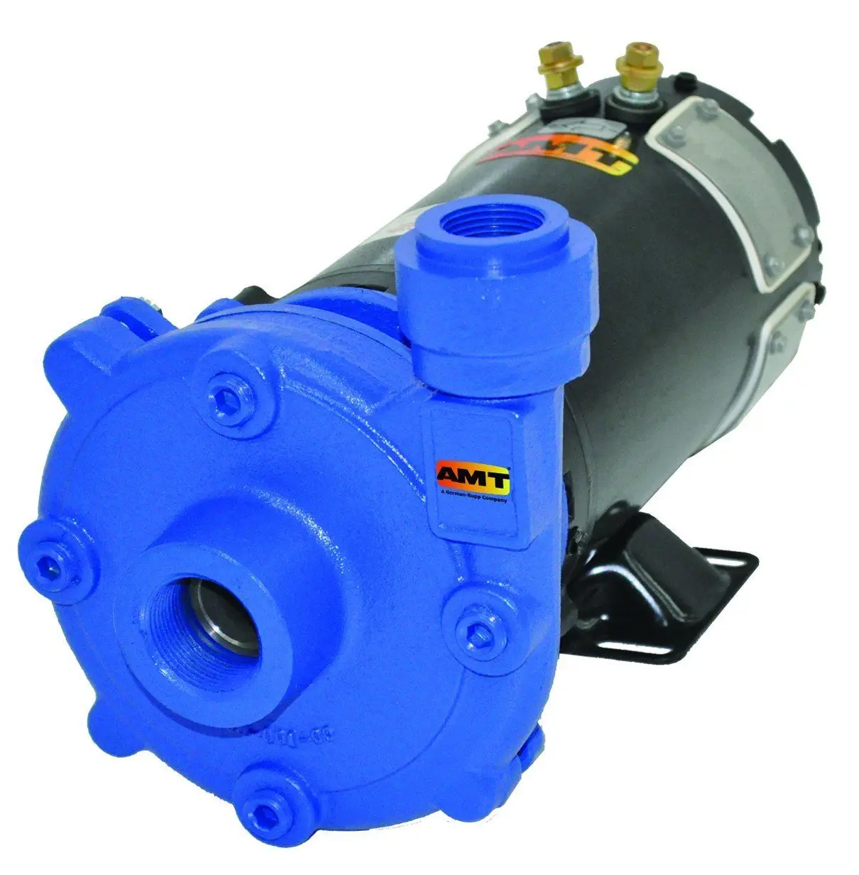 AMT 12 Volt DC Washdown Pump 12DC-95