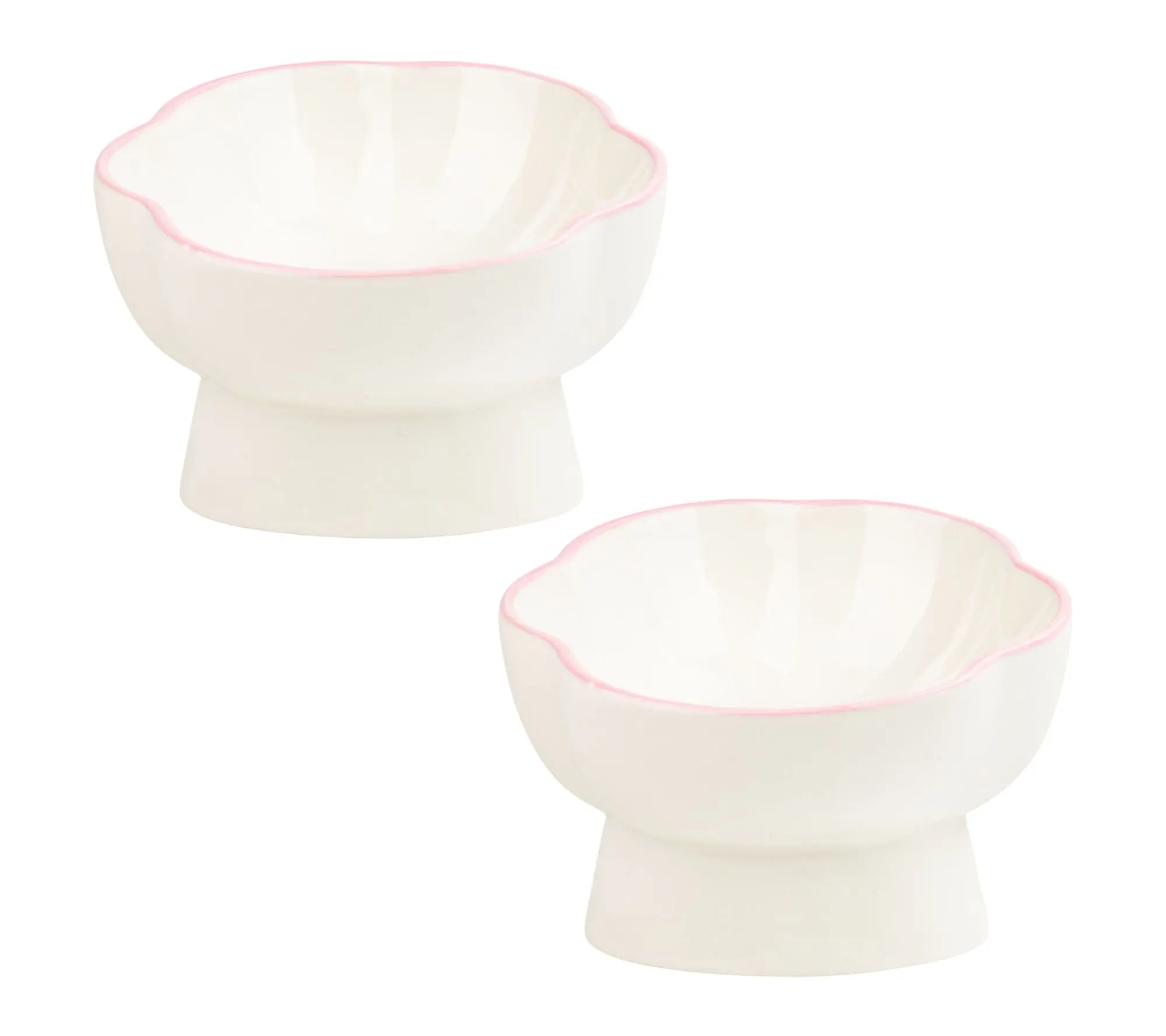 10 Strawberry Street Set of 2 Paws Up Elevated Pet Bowl, Large