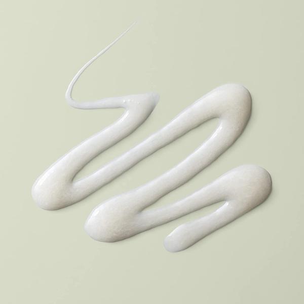 DevaCurl Wash Day Wonder, 12 oz