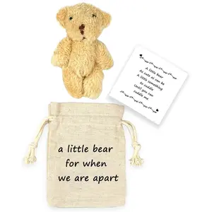 Pocket bear boyfriend long-distance teddy bear I love you gift couple long-distance relationship gift (Boyfriend)