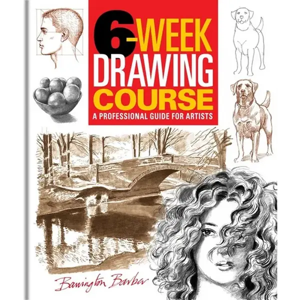 6-Week Drawing Course: A Professional Guide for Artists - Paperback