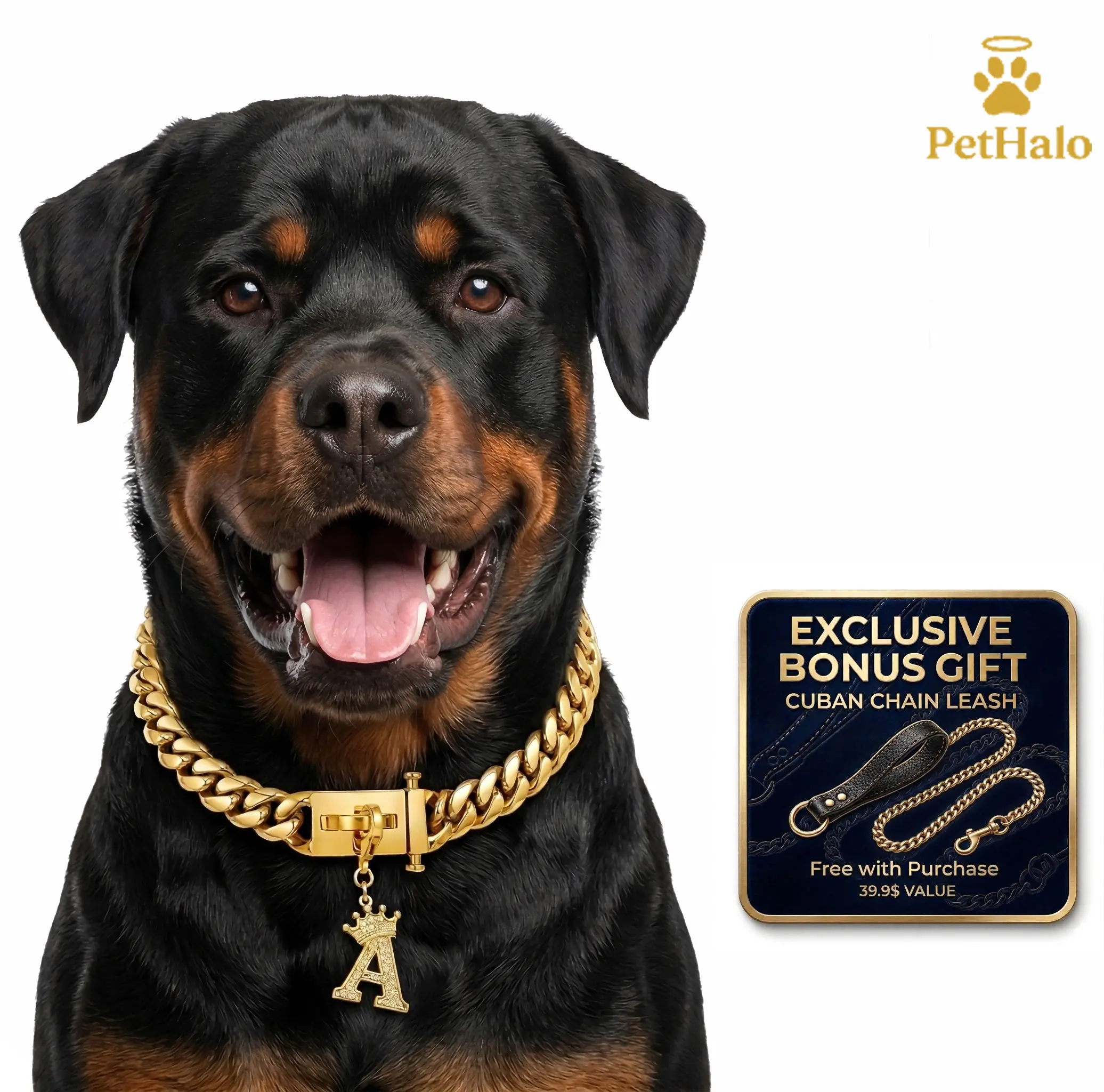 gold dog chain for pitbull - TikTok Shop gold dog chain for pitbull - TikTok Shop
